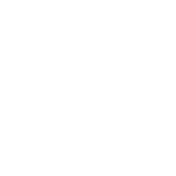 Pupilaje de Caballos