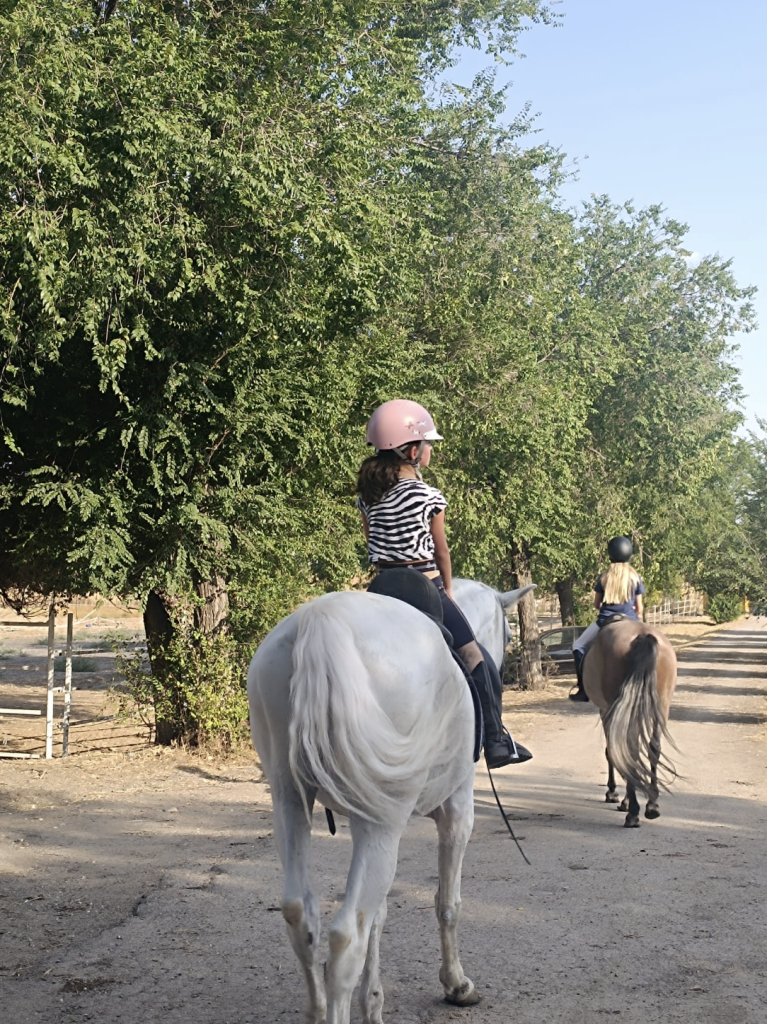 Captura de pantalla 2025 10 20 a las 18.20.56