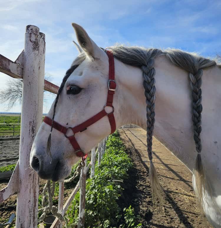 IMG 20251016 WA0067 e1760930447828