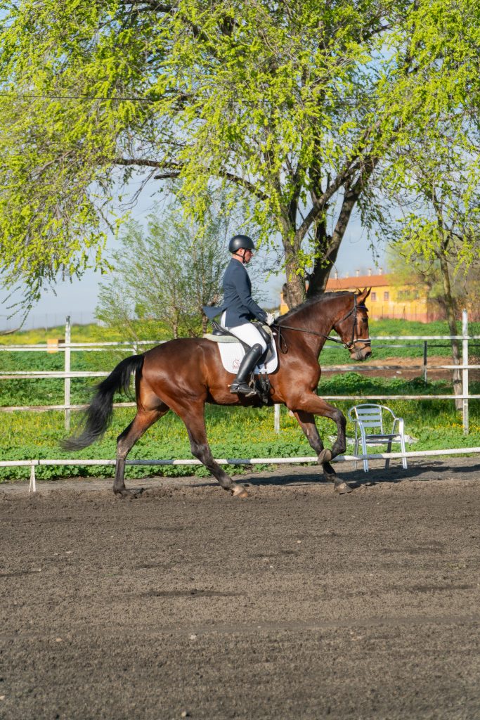 adolfo CDS 4 anos preliminar 29