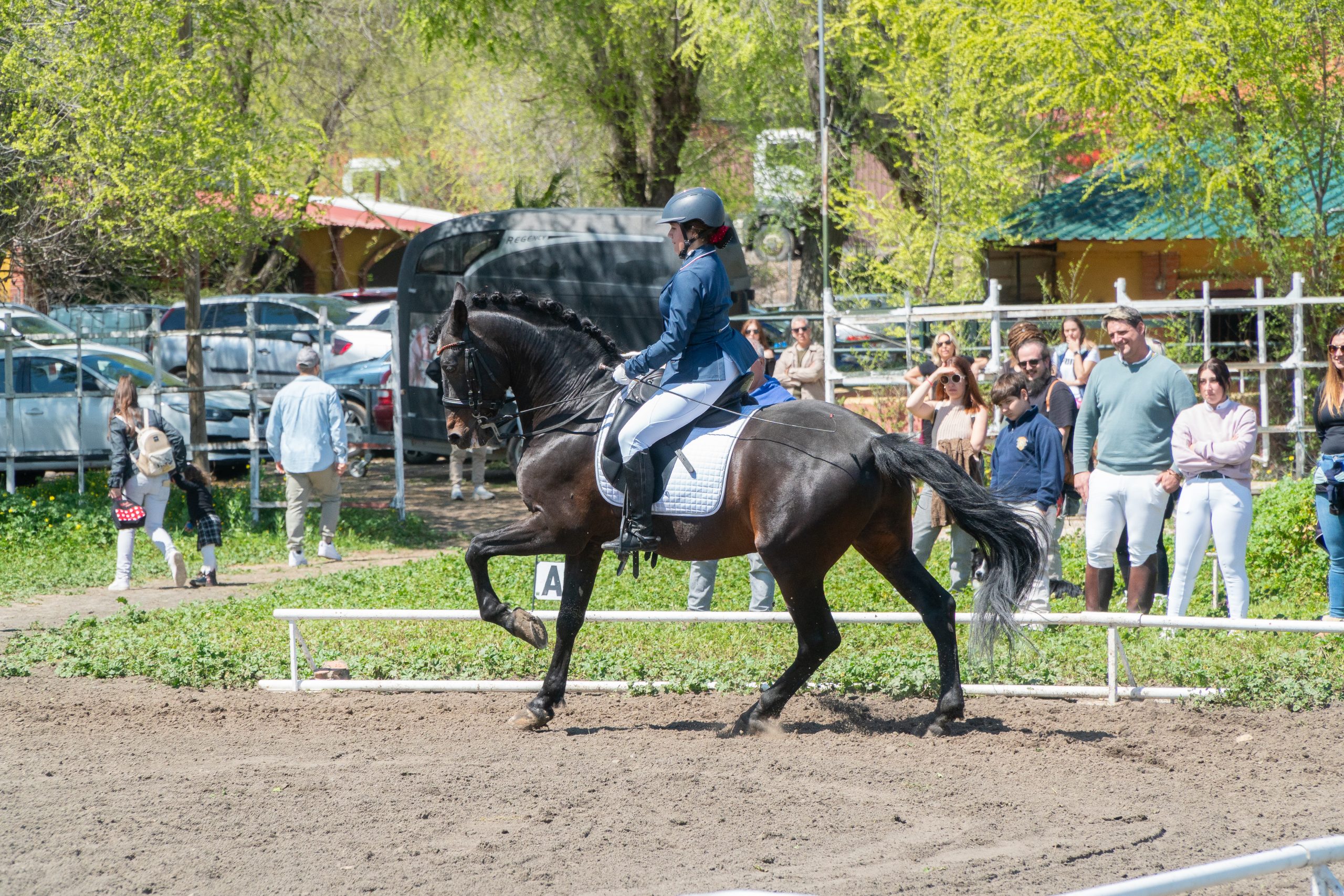 candela CDS clasica 1 08 scaled